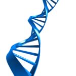 A DNA Strand - Next-generation sequencing